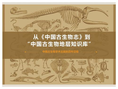 1_从中国古生物志到中国古生物地层知识库-兰州报告(1)